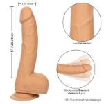 CALIFORNIA EXOTICS BORCHIE IN SILICONE 20,32 CM PELLE