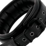 DARKNESS FULL BLACK COLLAR WITH LEASH