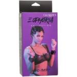 CALIFORNIA EXOTICS - EUPHORIA POLSINI