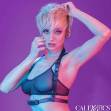 CALIFORNIA EXOTICS - EUPHORIA IMBRACATURA CON FIBBIA HALTER NERA