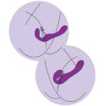 XOCOON - VIBRATORE 2 IN 1 STRAPLESS STRAP-ON CON TELECOMANDO VIOLA
