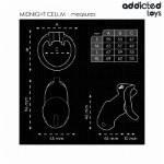 ADDICTED TOYS LOCKED - MINDNIGHT CELL GABBIA PER PENE 4.2 CM TAGLIA M